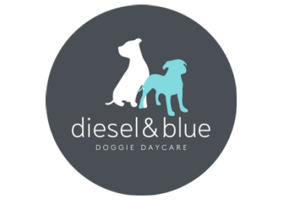 Diesel and Blue Doggie Daycare & Grooming